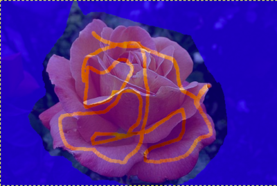 GIMP Foreground Select example: orange brush strokes mark the rose to keep, with blue overlay outside the rough selection.
